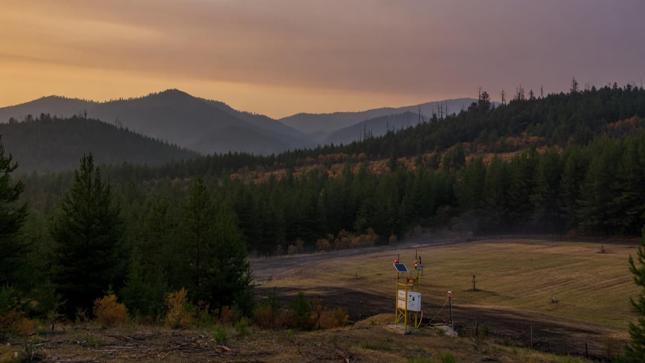 Conceptual forestry operations environment for distributed wildfire-risk signals.